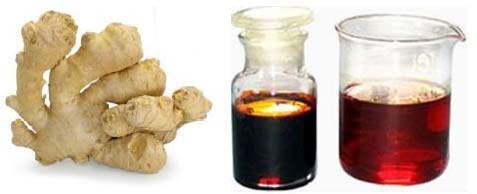 Organic Ginger Oleoresin, for Cooking, Cosmetic Products, Medicine, Style : Dried