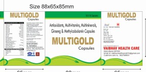 Multi Vitamin Milti Mineral Antioxident with Ginseng Capsule