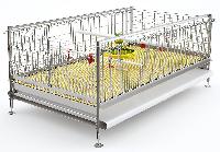 poultry chicks cage