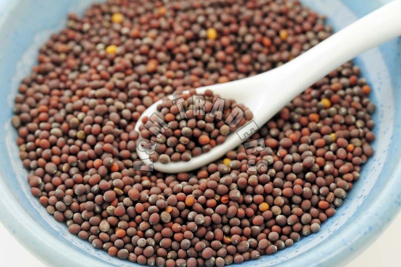 mustard seeds