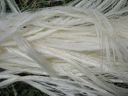 100% Natural Raw Sisal Fiber