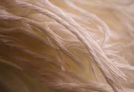 Natural White Sisal Fibre
