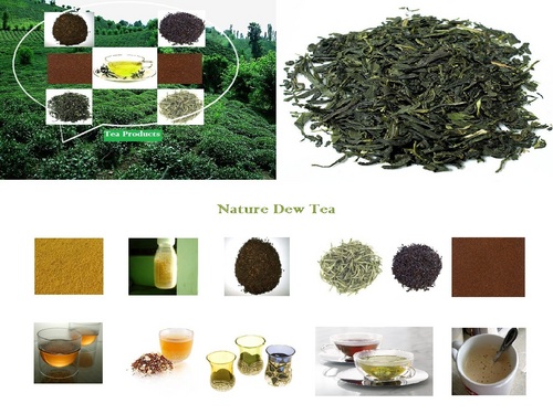 Black Tea Extract