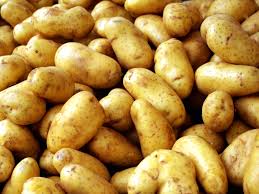 Fresh Indian Potato