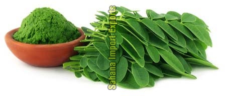moringa leaf powder