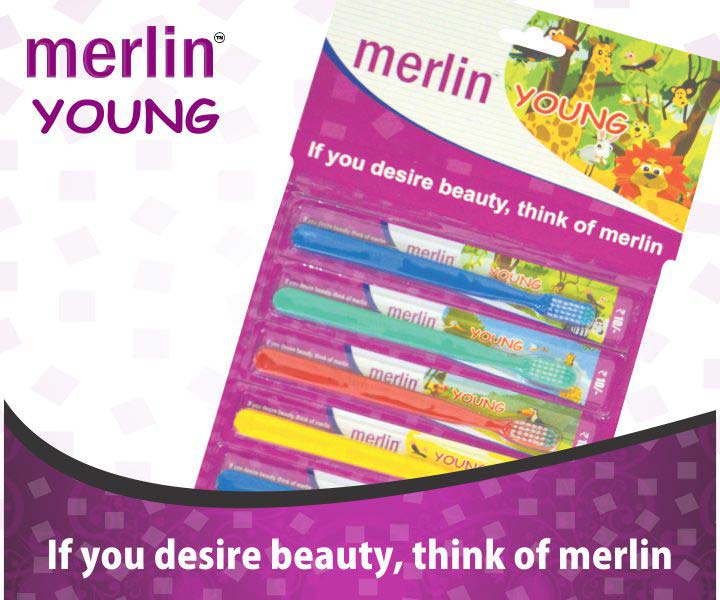 Merlin Young Toothbrushes