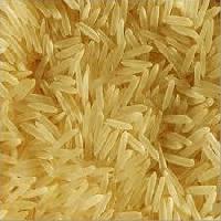 1121 golden rice