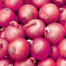 Pink Onion