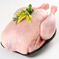 Halal Frozen Whole Chicken