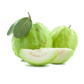 White Guava Pulp - Vijayakrishna agro foid processing pvt ltd, Krishna ...