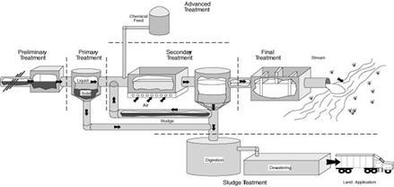 Stp Plant Diagram