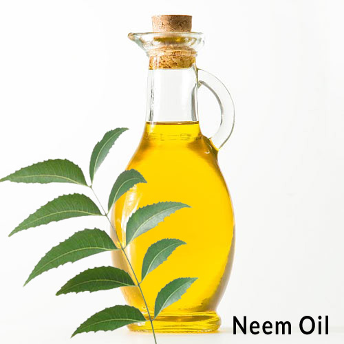 Neem oil, Form : Liquid