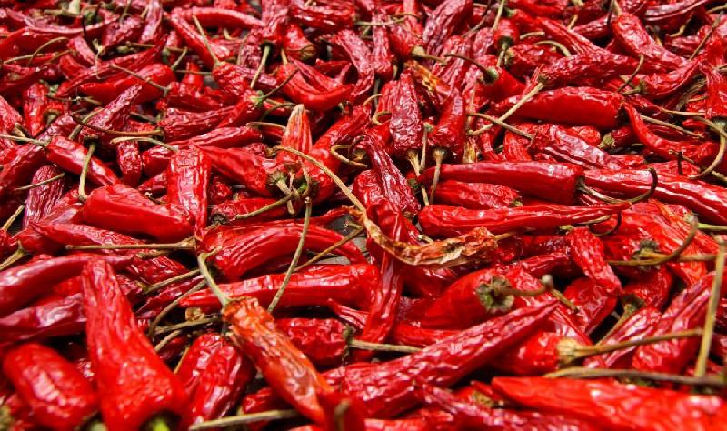 dried red chilli