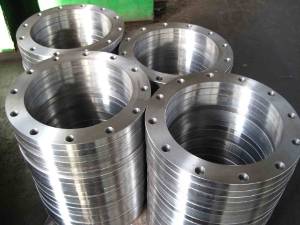 Slip On Flanges