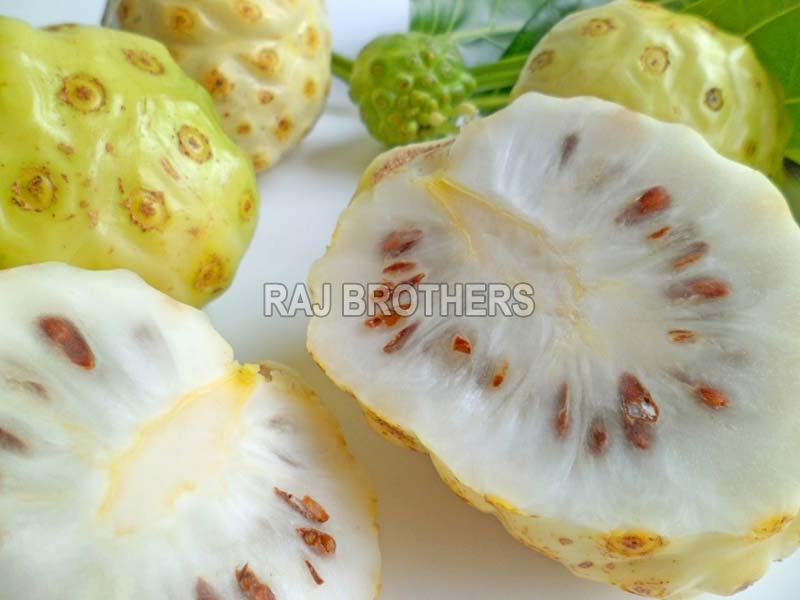 Morinda Fruits