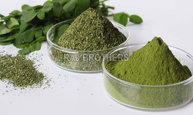 moringa leaves powder