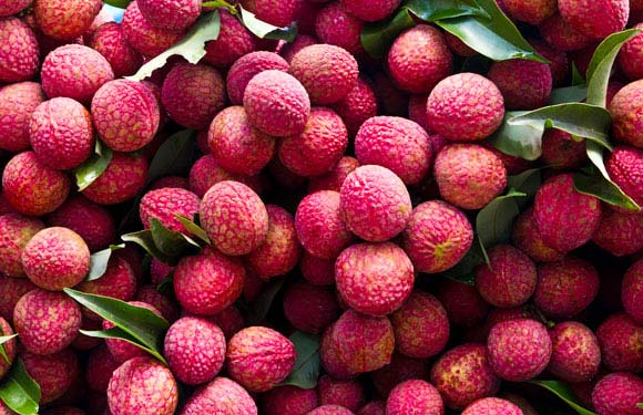 Organic Fresh Lychee, for Food, Juice, Feature : Fat Free, Sweet