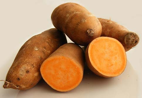 Fresh Sweet Potato, for Cooking, Packaging Type : Jute Bag, Net Bag