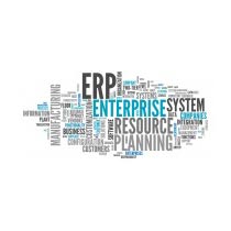 Erp Support Services