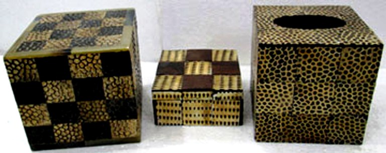 horn tissue boxes