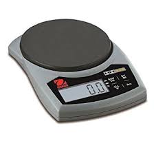 Electronic scale