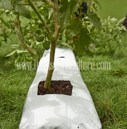 15x15 Inches HDPE Round Grow Bag at Best Price in Indore  Manufacturer and  Supplier