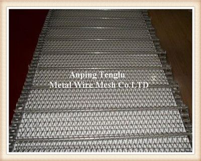 ss conveyor belt
