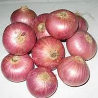 Red onions