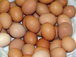 Fresh Brown & White Table Eggs Chicken Eggs. Best Quality