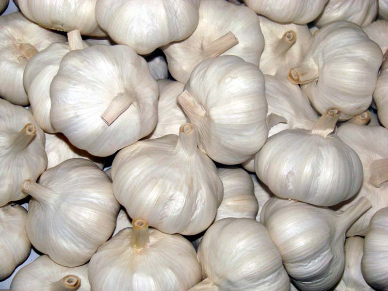 Normal White Garlic,Fresh White Normal White Garlic