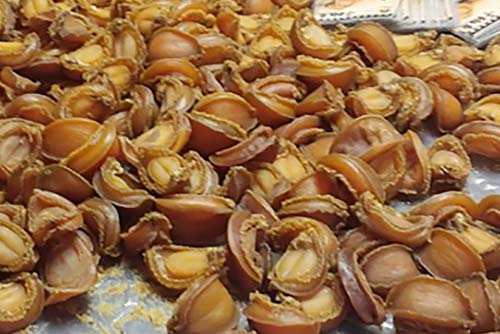 Dried Abalone sea food