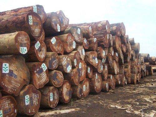 European Round Logs ( Timber Logs,African Timber Logs)