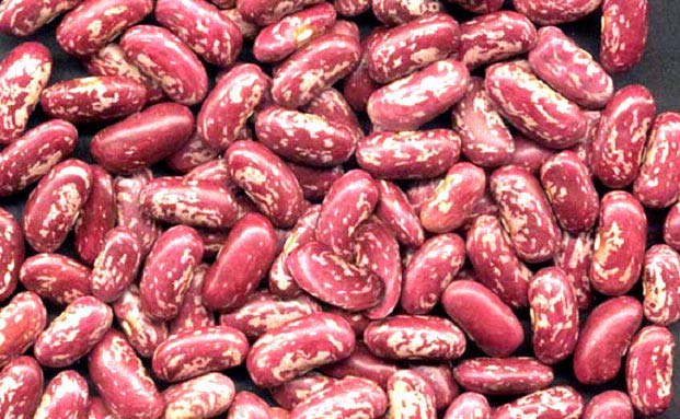 Red Speckled Kidney Beans.