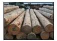 Timber Wooden Logs