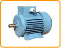 Inverter Duty Motors