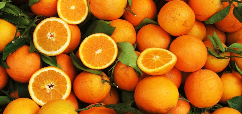 Round Organic Fresh Orange, for Jam, Juice, Snack, Packaging Type : Foam Net, Plastic Bag