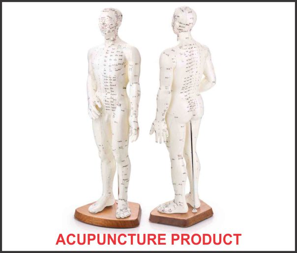Human Body Male Single Acupuncture Model
