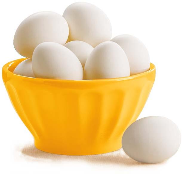 White Eggs at Best Price in Hyderabad B.r.enterprises
