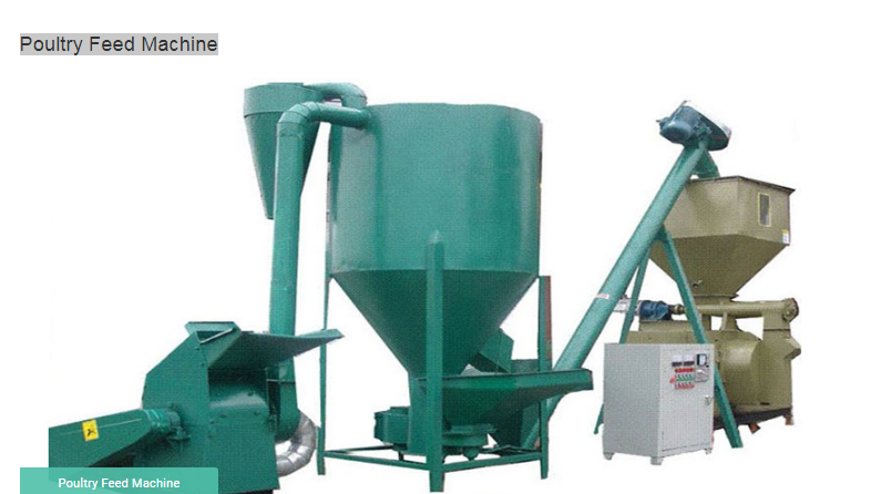 Poultry Feeder Manufacturer In Bareilly Uttar Pradesh India By