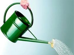 Metal Spray Finish Watering Can, Color : Green