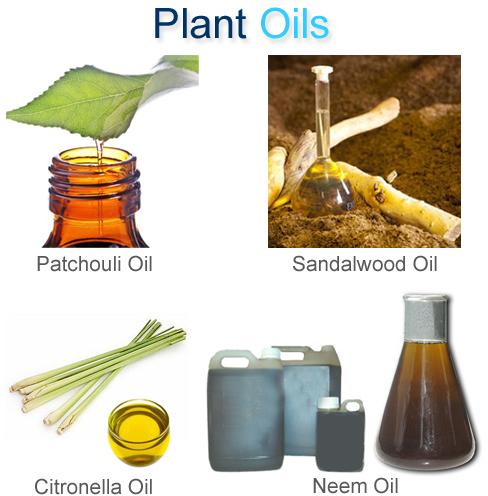 Essential Aromatic Oil