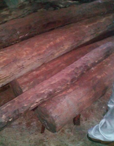 red sandalwood logs