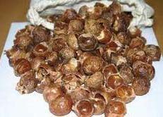 Soapnut Shells, Packaging Type : 25 kg. bag