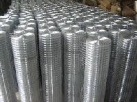 Galvanized Welded Wire Mesh