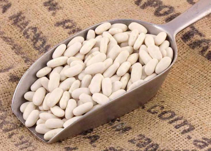 Alubia Cannellini Beans