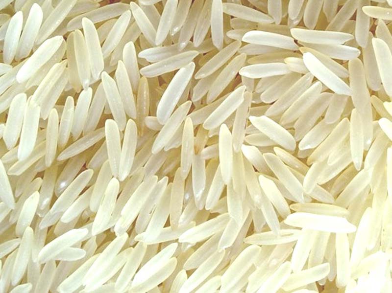 Organic Hard Pusa Sella Basmati Rice, for Gluten Free, Variety : Long Grain