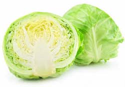 Fresh Green Cabbage