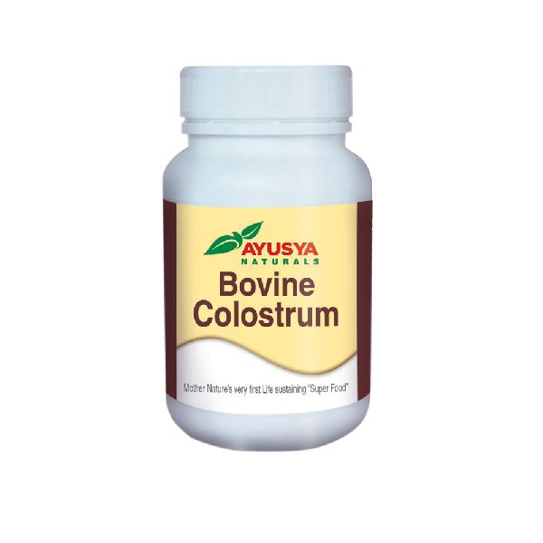 colostrum chew
