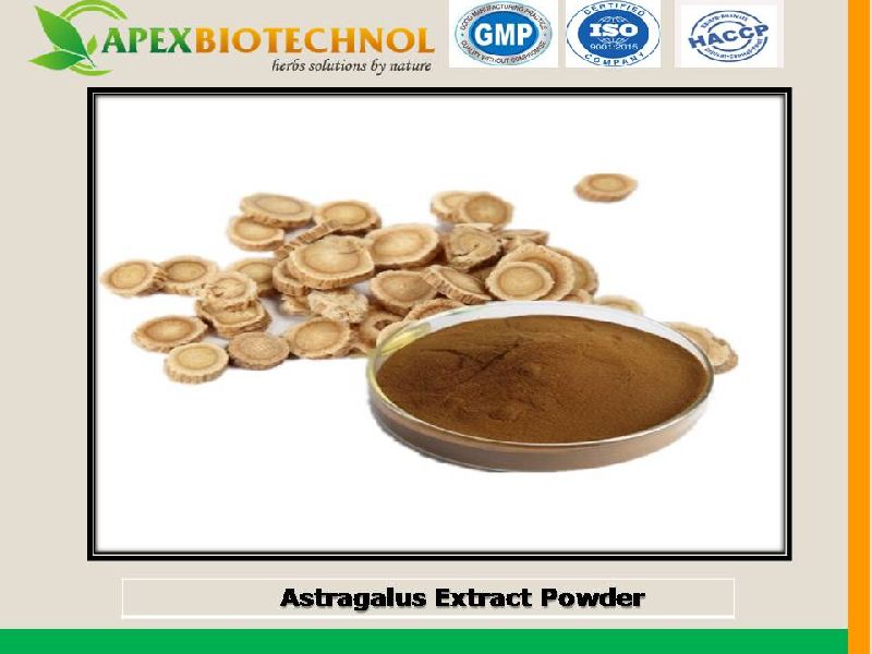 Apex Biotechnol Astragalus Extract, Grade : food