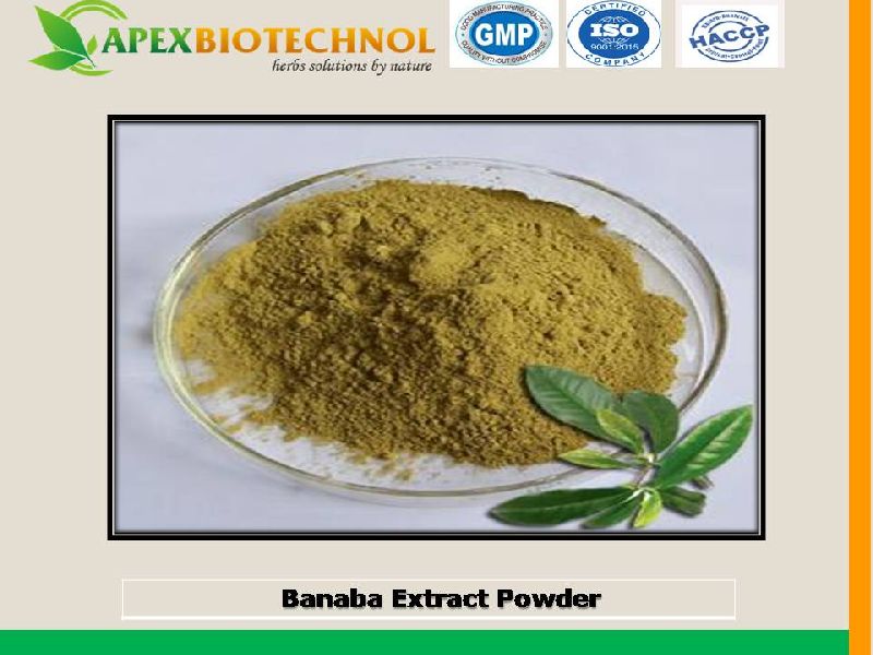 Apex Biotechnol Banaba Extracts, Grade : food